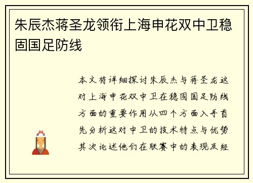 朱辰杰蒋圣龙领衔上海申花双中卫稳固国足防线